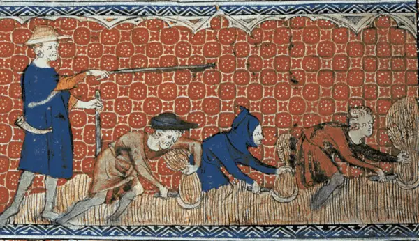 Serfs harvesting wheat with reaping-hooks